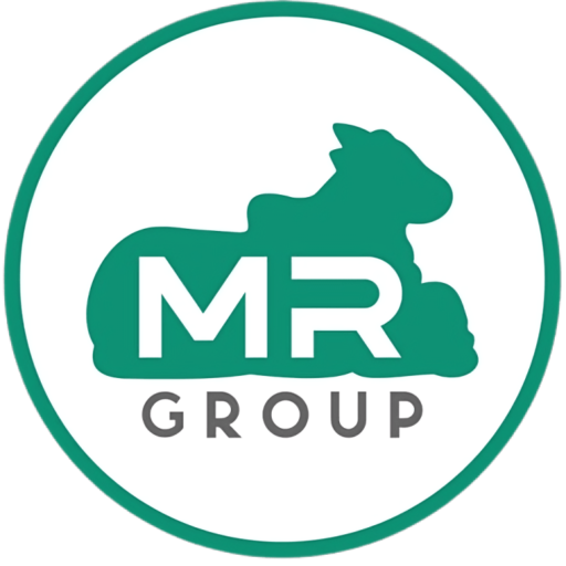 https://constructions.mr-group.in/wp-content/uploads/2024/12/cropped-logo-main-2.png